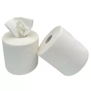 BOBINE ESSUIE-MAIN PURE OUATE BLANCHE (x2)