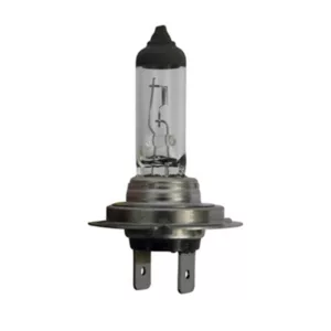 AMPOULE H7 24V 70W