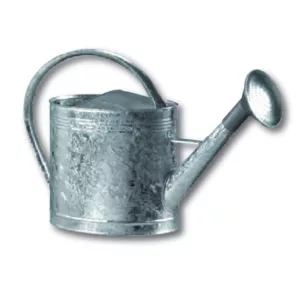 FORGE-MAGNE-ARROSOIR-OVALE-GALVANISE-13L + POMME
